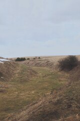 sand dunes