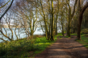 footpath in the park