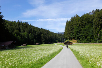 Cycling, rear view of a biker on cycle trail in green landscape. Barns in Bavarian alps, Bavaria Germany 