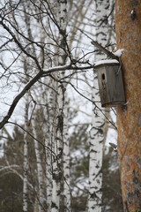 Wooden bird house on a tree in winter
