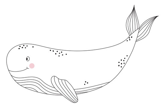 The sea animal is a whale. Cute decorative underwater character with eyes and a smile. Vector illustration isolated on white background. Line, sketch, outline