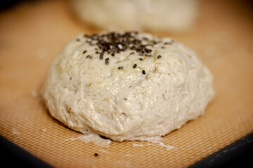 raw whole wheat bread dough with chia seeds