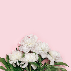 Obraz na płótnie Canvas Bouquet of white peony flowers on pink background with copyspace. Summer blossoming delicate peony, seasonal floral design