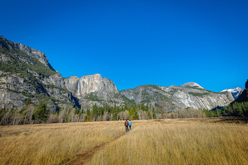 Visitors in the Yosemite Meadow