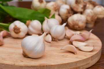 Garlic Cloves and Bulb on wooden cutting board. Garlic on wooden table background