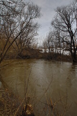 spring river in the Russian outback