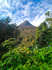 Fototapeta premium Hiking of Adams peak or mountain in south east asia, Sri Lanka.