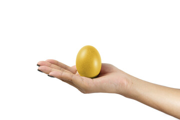 Isolated Asian women hand holding an egg on a white background, with copy space for message. clipping path.