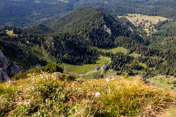 Fototapeta na wymiar Panorama view from Benediktenwand mountain in Bavaria, Germany