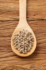 Closeup of white pepper grains on a wooden spoon. Food backdrop
