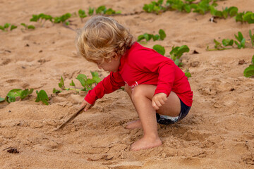 Child playing in the sand on the beach of Guarapari, ES, Brazil.