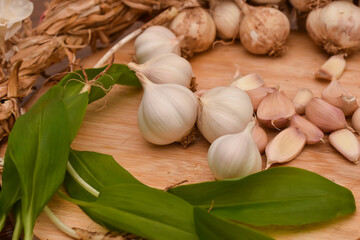 Wild garlic ramson or bear garlic with garlic bulb and garlic cloves on wooden cutting board
