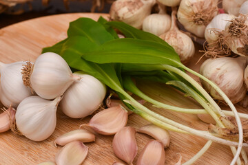 Wild garlic ramson or bear garlic with garlic bulb and garlic cloves on wooden cutting board
