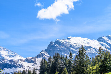 Fototapeta premium The Swiss Alps at Murren, Switzerland. Jungfrau Region. The valley of Lauterbrunnen from Interlaken.