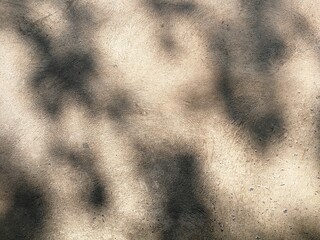 Tree shadows on grunge concrete floor background with copy space for your work, concept about outdoor garden, vintage.
