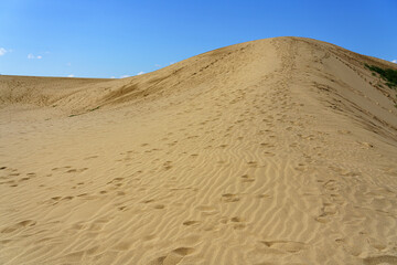 鳥取砂丘　中国地方・山陰観光地