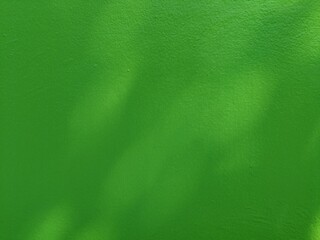 abstract background green wall background 