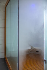 Modern steam bath in the bathroom