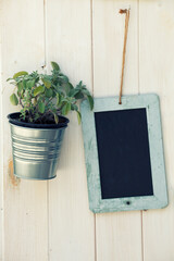 Empy blackboard and pot with plant on wooden surface. A small blackboard with no writing, a jar containing a plant and a wooden board as a background.