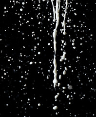 Splashes of white milk isolated on a black background.