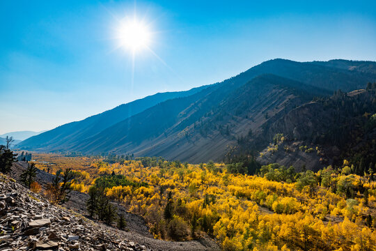 United States, Idaho, Sun Valley, Yellow foliage in mountain valley in sunny, autumn day