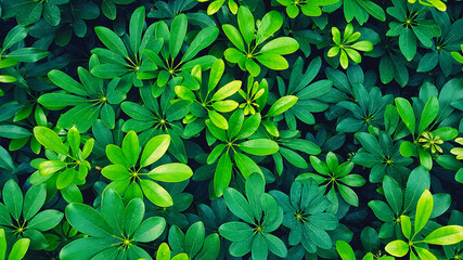 Beautiful fresh green leaves pattern for background at garden park in blue filter tone. Beauty of Nature, Growth, Plant and Natural wallpaper concept