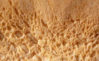 Fresh crusty bread as background.