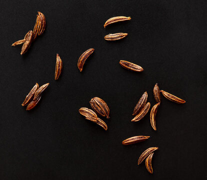 Close up of cumin seeds on a black background.