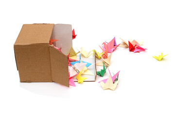 Opened box with origami paper birds