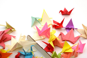 Flock of origami birds with box