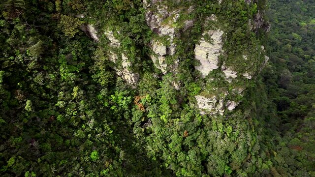 panoramic view of the wild forest of langkawi islands.
