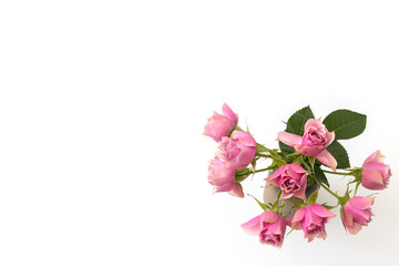 Obraz na płótnie Canvas 花のフレーム　Flower frame of spring