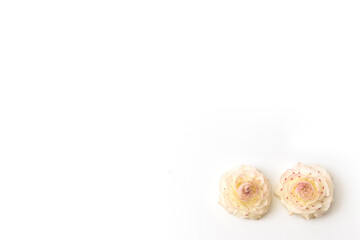 花のフレーム　Flower frame of spring