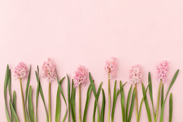 Lilac flowers on bright pink background. Creative spring arrangement. Minimal floral concept.