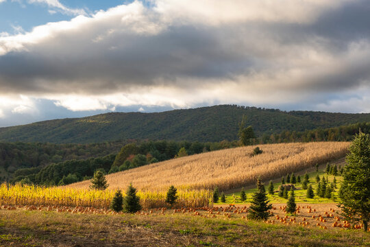 United States, Virginia, Hilly rural landscape