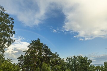 View of tops of green trees on blue sky with a rainbow after rain on background Baltic sea. Sweden.