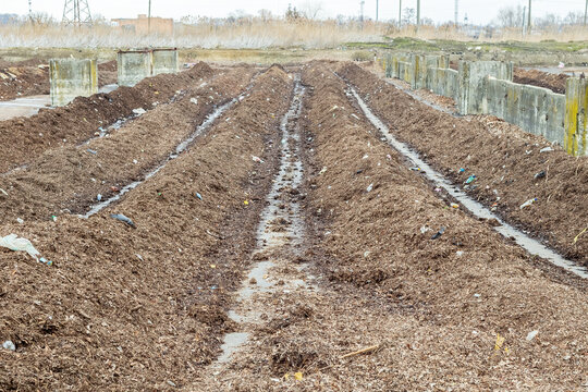 Rows Of Green Waste At Industrial Compost Plant
