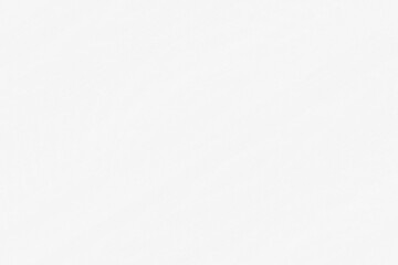 white beech wooden background texture structure backdrop