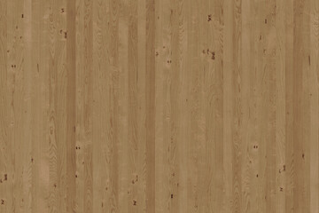 Fototapeta na wymiar birch wooden background texture structure backdrop