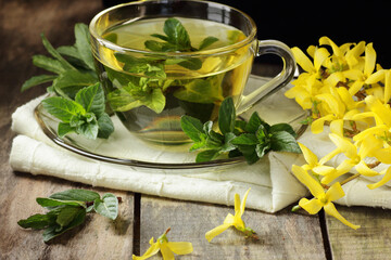 Mint or peppermint herbal tea in glass cup with fresh leaves and forsythia flowers on fabric on rustic background, closeup, naturopathy and aromatic spring floral teas concept