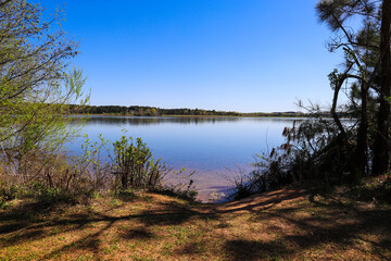 Fototapeta na wymiar stunning vast deep blue lake water with lush green and autumn colored trees across the lake with gorgeous blue sky at Lake Horton Park in Fayetteville Georgia