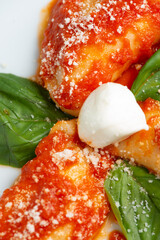 Ravioli al Pomodoro IX
