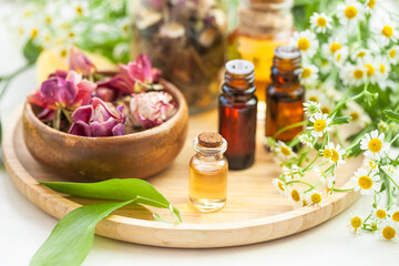 Assortment of organic essential oils. Natural moisturizing body and face treatment. Rose, camomile extract for healthy young skin. Relaxation, aromatherapy, salon spa. Close up, macro view
