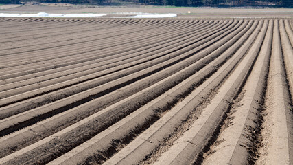 Sehr symetrische "Furchen" in einem Acker im Frühjahr - moderne Landwirtschaft