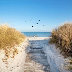 Rolgordijnen Houten plankenpad naar de zee © Jenny Sturm