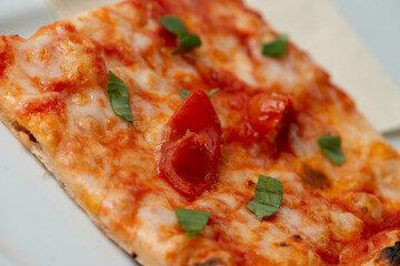 Pizza Margherita XVII