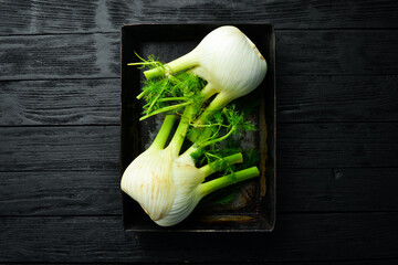 Fresh fennel bulbs on a metal tray, ready to cook. Healthy food. Top view.