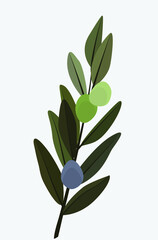 Three olives on a branch in flat style. Vector illustration in calm bright colors. Minimalistic drawing. Design for cards, posters, backgrounds, textiles, menus, emblems, templates.