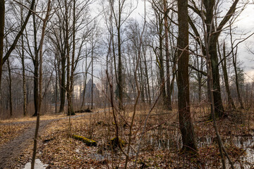 Forest landscape with bare trees and a church in the distance. Old wooden Orthodox church.