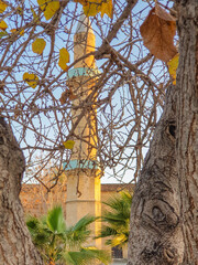 View of Omeriye Mosque minaret in Nicosia, Cyprus, through tree leaves and branches in a beautiful...